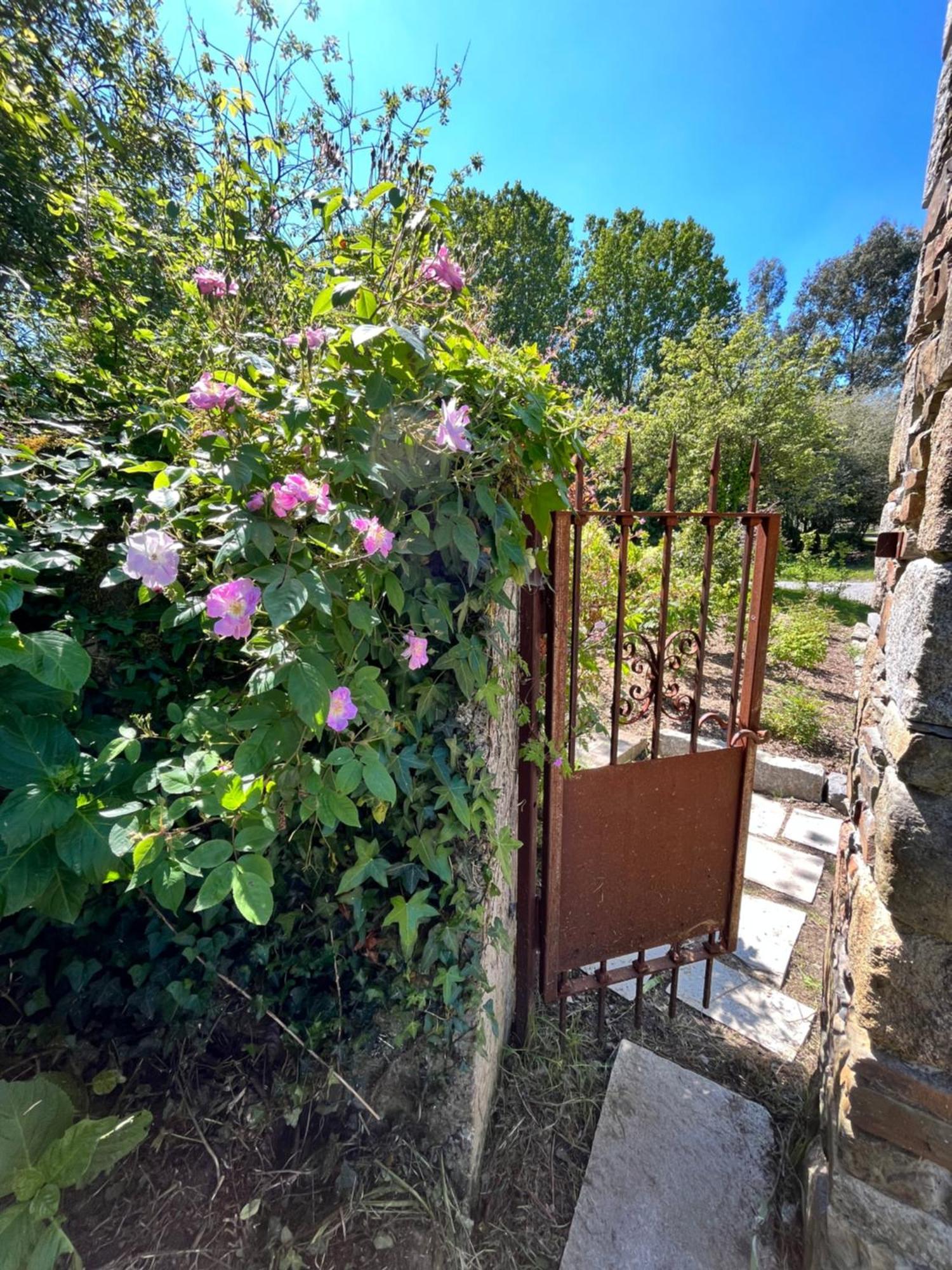 Domaine Du Tertre Ychot Ξενοδοχείο Dol-de-Bretagne Εξωτερικό φωτογραφία
