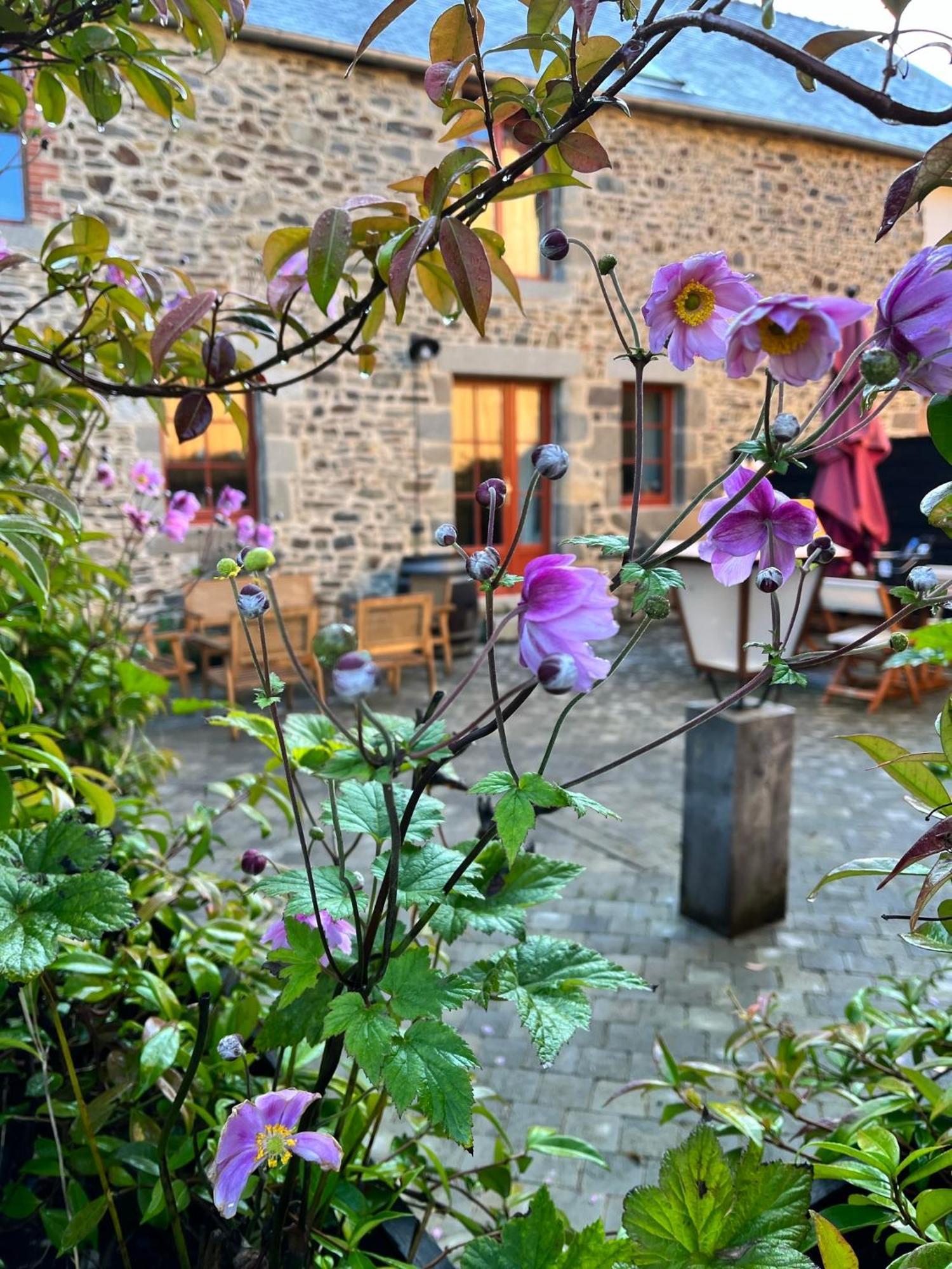Domaine Du Tertre Ychot Ξενοδοχείο Dol-de-Bretagne Εξωτερικό φωτογραφία